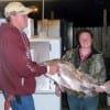 Huge Black Drum caught by Amber Crayey of Silsbee-X