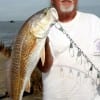 IMG_5482- Kenny Lane of Winnie caught this nice red on finger mullet-