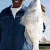 IMG_5610- Houston angler Charles George took this nice drum on shrimp-