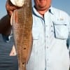 IMG_5767- Kevin Burkhalter of Lumberton nabbed this 24inch red on live shrimp-