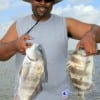 Ben Kelly of Denton took this nice drum and sheepshead on shrimp-