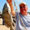 Kennith Gross of The Highlands TX took this nice drum on shrimp-