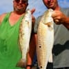 Derek Phots and Norman Rodriguez landed this nice red and trout on finger mullet.