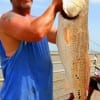 Gary Hust of Beaumont, TX surfed this huge 38inch- 21-lb Bull Red on sand-trout.