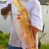 Clarence Sparks of Houston table this 36inch red fishing shad.