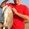 Robert Nava of Baytown caught these flounder, reds and trout on live shrimp.