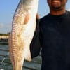 Branden Johnson of Houston took this nice red on live shrimp.