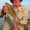 Steve Lisle of Orange, TX took this 26inch red on finger mullet.