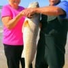 Don Jones of Hutchinson, KS helps his wife Dixie hold her catch of a 40plus inch bull red; released.