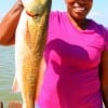 Donna Wright of New Caney, TX took this 26inch red on finger mullet.