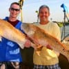 The Hust family did it again with these 40 and 42inch tagger Bull reds caught on cut croaker.