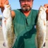 Rodney Stevens of Willis, TX took these nice trout on finger mullet.