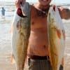 Surfangler Nick Lybbert of Spring, TX reeled in these 28 and 30inch reds on cut mullet.