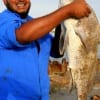 Rollover Kazi of Rosenburg, TX fished cut croaker for this 35inch Bull Drum; released.