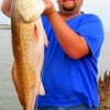 Bryson Feuhs of Normange, TX tackled this 36 inch tagger Bull red his first ever on cut bait.