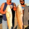 Fishin Buds Don Oquinn of Porter and Tramaine Jackson of Spring landed these 39 and 36 inch tagger bull reds fishing cut bait.