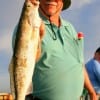 Bert Newton of Irving, TX took this speckled trout on live shrimp.