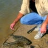 Cancer survivor Mark Talley of Galveston found the key catching his limit of flounder on berkley gulp.