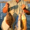 John Nelson of Conroe TX tethered up this impressive stringer of flounder and red caught on berkley gulp.