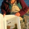 Jean Scurtu of Houston fished crappie jigs for this limit of flounder.