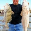 Johnny Glanados of Houston caught this drum and redfish on shrimp.