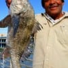 Houston angler Harold Williams nabbed this keeper eater drum on shrimp.