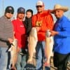 The Redfish Wranglers of Houston wrastled up these really nice reds on finger mullet and shrimp.