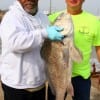 James Vaughn of  Houston Park and Recreation Dept. shows off his 36 inch caught and released  black drum he took on shrimp.