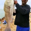 Baytown, angler Robert  Smith caught and released this huge drum while fishing shrimp.