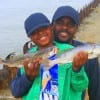 Father and son,  Brandon Sr and Brandon Jr show off their sand trout caught on live  shrimp.