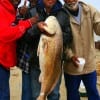 The Jonas Powell  family displays their 30 lb tagger bull red caught on shrimp.