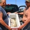 Billy And Rusty Schley of High Island, TX nabbed this box of whiting from the surf.