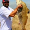 Keith Tey of Humble, TX  wrastled this HUGE drum to the bank then released it.