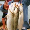 John Kernan of Port  Bolivar, TX fished soft plastics for these 3 specks that weighed 12lbs.