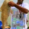 Robert Foster of  Houston caught and released this huge drum he took on shrimp.