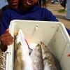 Mom and Daughter, Michell and Mikayla Potts boxed up this impressive catch of trout on plastic.