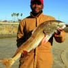 IMG_0459- AR Jr. of Cypress TX took this 37inch tagger Bull Red on a miss nancy shrimp-