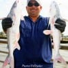 Pat Villarreal of Houston tackled these two nice gafftop fishing piggy perch.