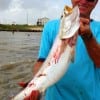 Jiminder of Hgh Island, TX displays this 26 inch-6lb speck caught on a soft plastic.