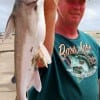 Carl Gillis of Houston took this large gafftop catfish on a miss nancy shrimp.