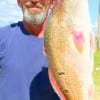 Conroe, TX angler Alton Thorpe took this nice 26inch red on finger mullet.