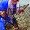 Paul Miller of Talco, TX boxed up these nice flounder fishing finger mullet.