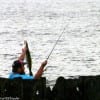 East side surf wader fished mirror lures for this nice 4lb speck.