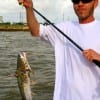 Chad ildman of Channelview TX took this nice gafftop on mullet