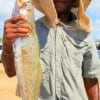 Johnny Scott of Houston nailed this 23 inch speck fishing a finger mullet