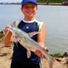 Hayden Mize of Mont Belvieu TX took this nice gafftop on finger mullet