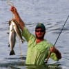 Nice mess of trout for this surf wader