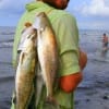 Robert Hoelzer of Gilchrist waded the surf with a T-28 to nab these nice specks