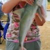 Jennifer Midin of Houston wade fished the surf with a spoon to catch this 3 ft blacktip shark