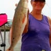 Jhonnie Broussard of Baytown took this nice slot red on shrimp